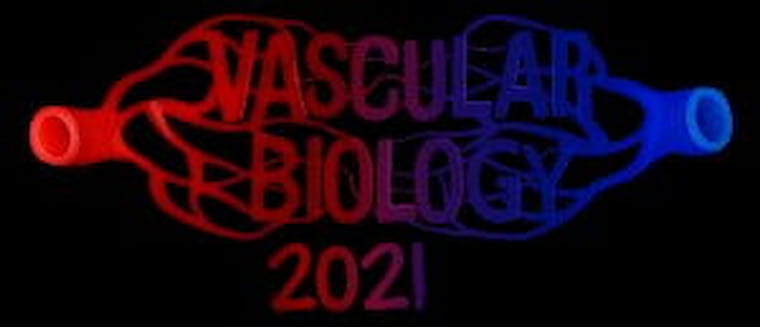 NAVBO Vascular Biology Virtual Conference
