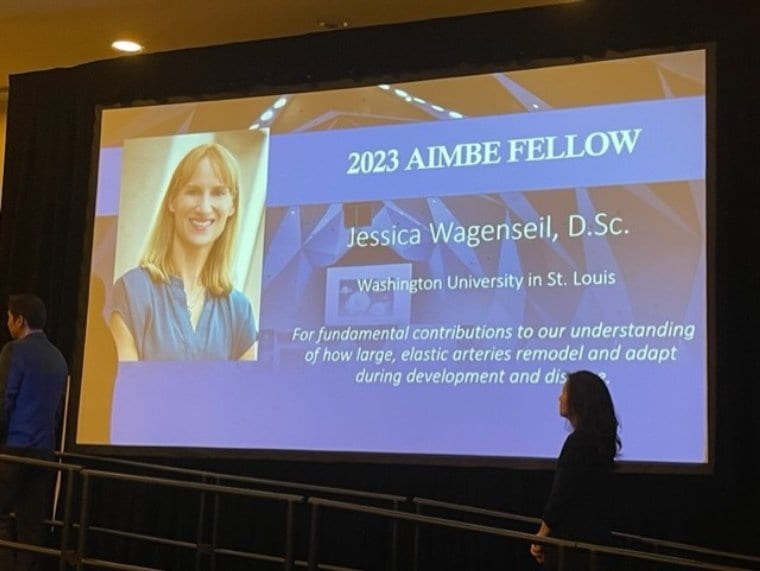 Wagenseil named AIMBE Fellow
